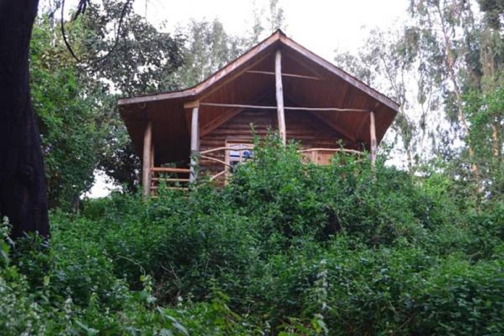 Lake Bunyonyi Eco Resort Chabahinga Quarto foto